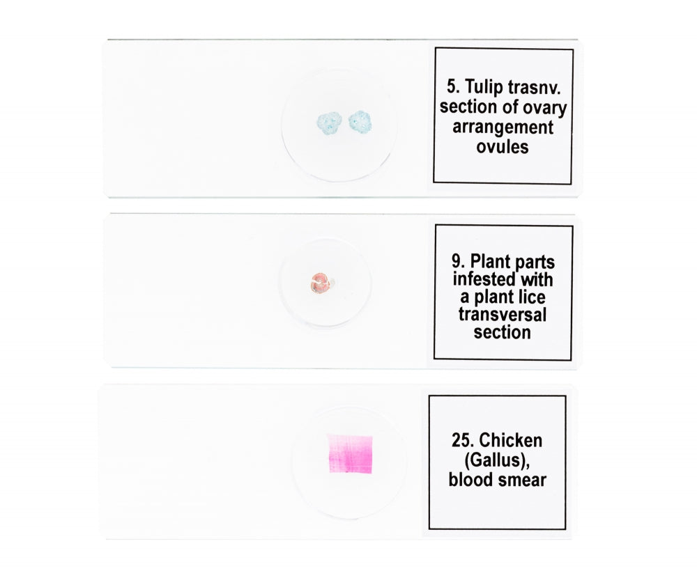 Discovery Prof Specimens DPS 25. “Biology, Birds, etc.”